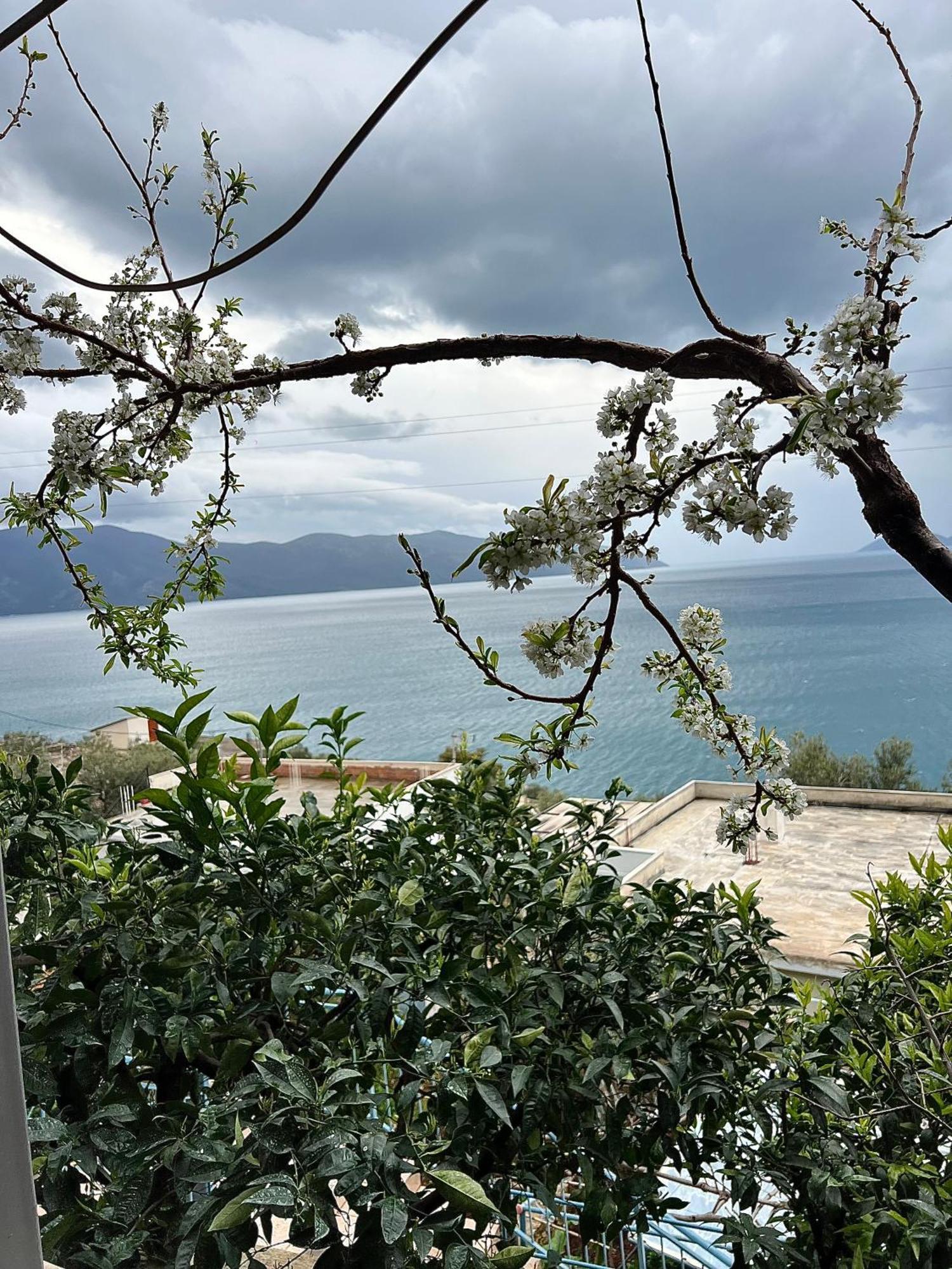 Marisi House Apartment Vlore Exterior photo